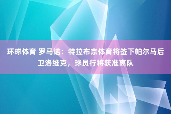 环球体育 罗马诺：特拉布宗体育将签下帕尔马后卫洛维克，球员行将获准离队