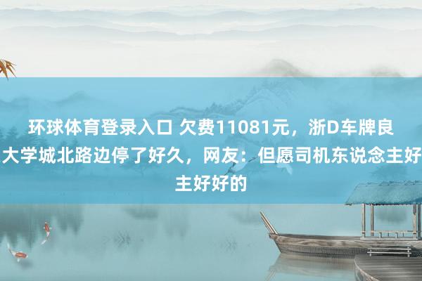 环球体育登录入口 欠费11081元，浙D车牌良马在大学城北路边停了好久，网友：但愿司机东说念主好好的