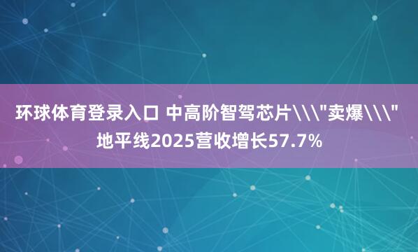环球体育登录入口 中高阶智驾芯片\