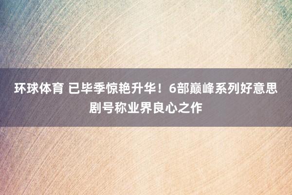 环球体育 已毕季惊艳升华！6部巅峰系列好意思剧号称业界良心之作