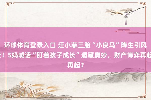 环球体育登录入口 汪小菲三胎“小良马”降生引风云！S妈喊话“盯着孩子成长”遁藏奥妙，财产博弈再起？