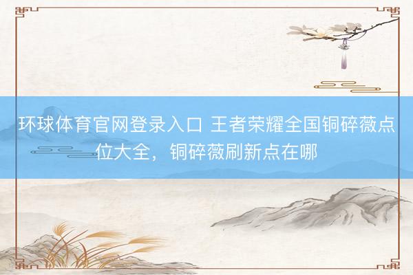 环球体育官网登录入口 王者荣耀全国铜碎薇点位大全，铜碎薇刷新点在哪
