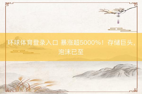 环球体育登录入口 暴涨超5000%！存储巨头，泡沫已至