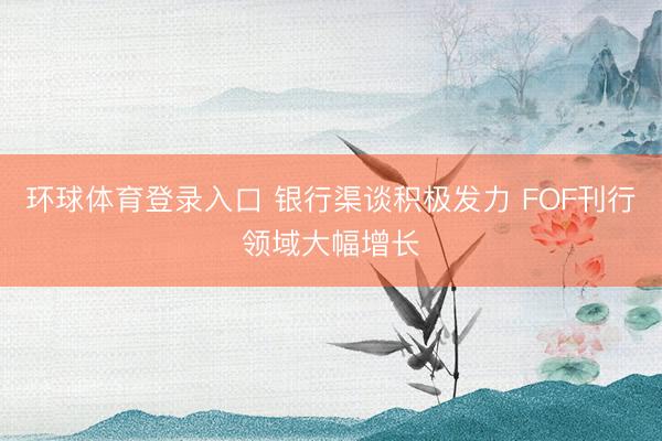 环球体育登录入口 银行渠谈积极发力 FOF刊行领域大幅增长