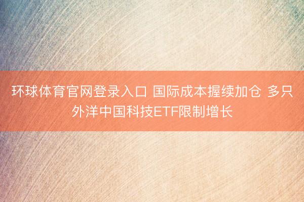 环球体育官网登录入口 国际成本握续加仓 多只外洋中国科技ETF限制增长