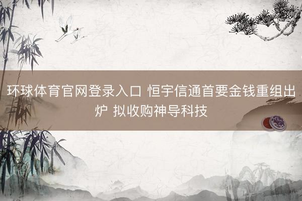 环球体育官网登录入口 恒宇信通首要金钱重组出炉 拟收购神导科技