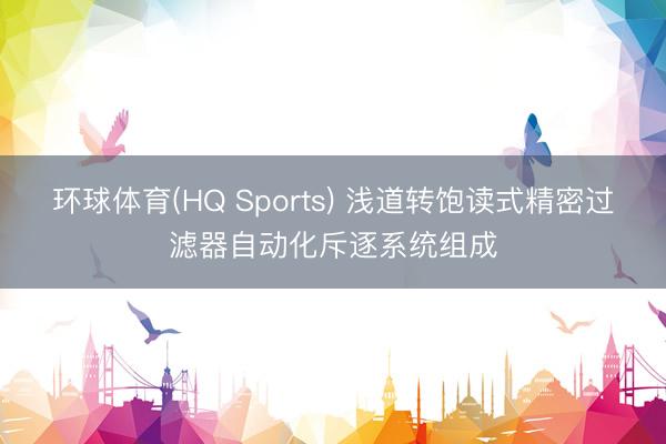环球体育(HQ Sports) 浅道转饱读式精密过滤器自动化斥逐系统组成