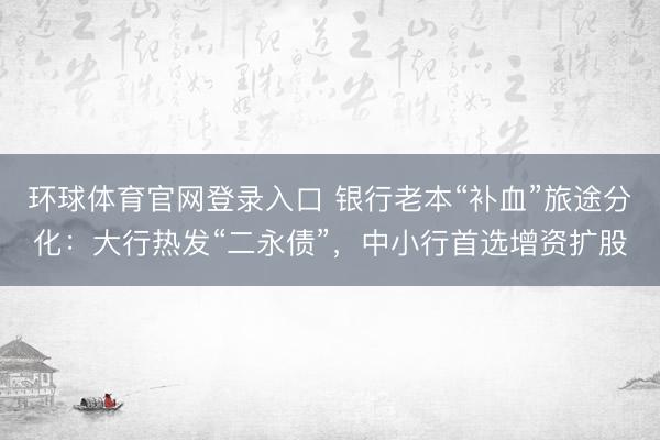 环球体育官网登录入口 银行老本“补血”旅途分化：大行热发“二永债”，中小行首选增资扩股
