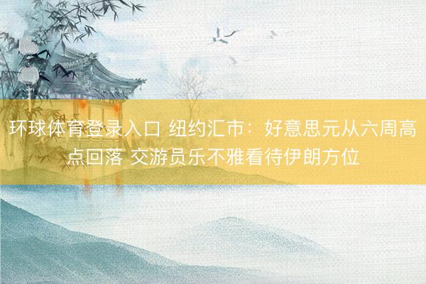 环球体育登录入口 纽约汇市：好意思元从六周高点回落 交游员乐不雅看待伊朗方位