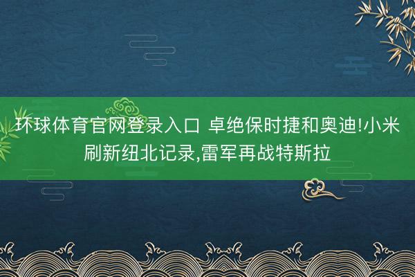 环球体育官网登录入口 卓绝保时捷和奥迪!小米刷新纽北记录，雷军再战特斯拉