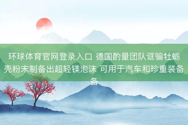 环球体育官网登录入口 德国酌量团队诓骗牡蛎壳粉末制备出超轻镁泡沫 可用于汽车和珍重装备