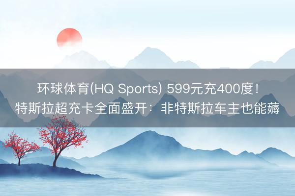 环球体育(HQ Sports) 599元充400度！特斯拉超充卡全面盛开：非特斯拉车主也能薅