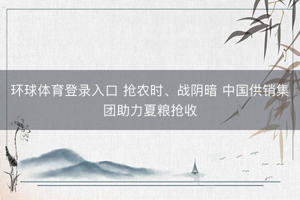 环球体育登录入口 抢农时、战阴暗 中国供销集团助力夏粮抢收
