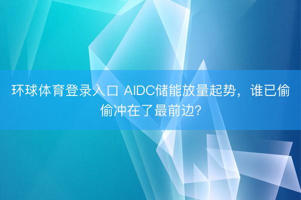 环球体育登录入口 AIDC储能放量起势,谁已偷偷冲在了最前边?