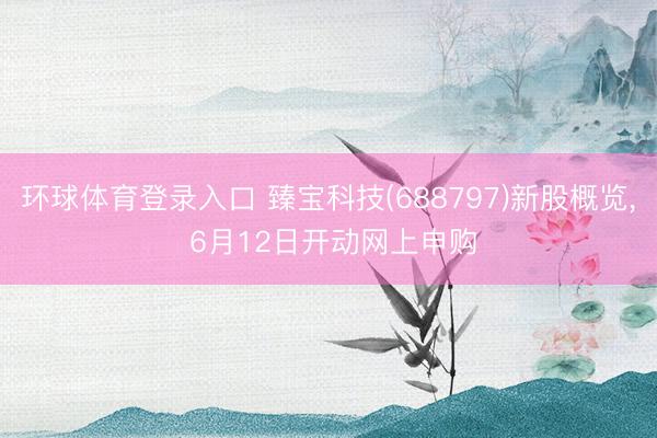 环球体育登录入口 臻宝科技(688797)新股概览， 6月12日开动网上申购