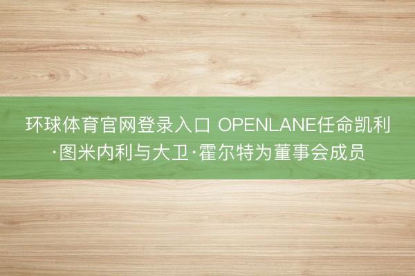 环球体育官网登录入口 OPENLANE任命凯利·图米内利与大卫·霍尔特为董事会成员