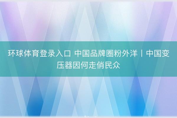 环球体育登录入口 中国品牌圈粉外洋丨中国变压器因何走俏民众