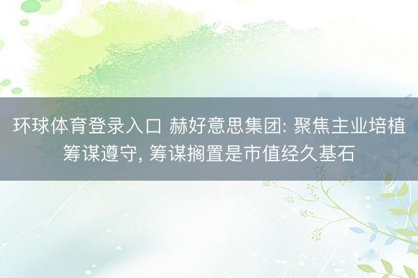 环球体育登录入口 赫好意思集团: 聚焦主业培植筹谋遵守, 筹谋搁置是市值经久基石